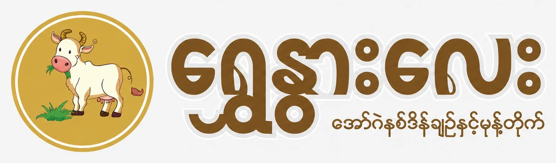 Shwe Nwar Lay logo